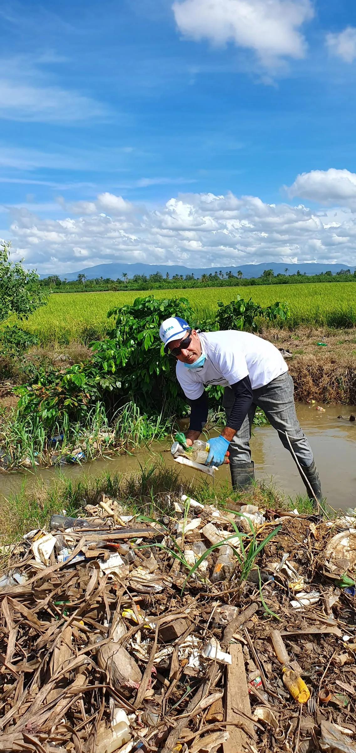 Un voluntario recoge envases plásticos en la orilla de un canal de riego, con el arrozal y la montaña al fondo