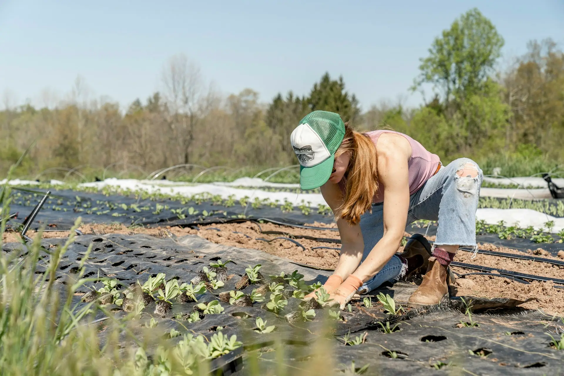 Agricultora sembrando plántulas en el campo