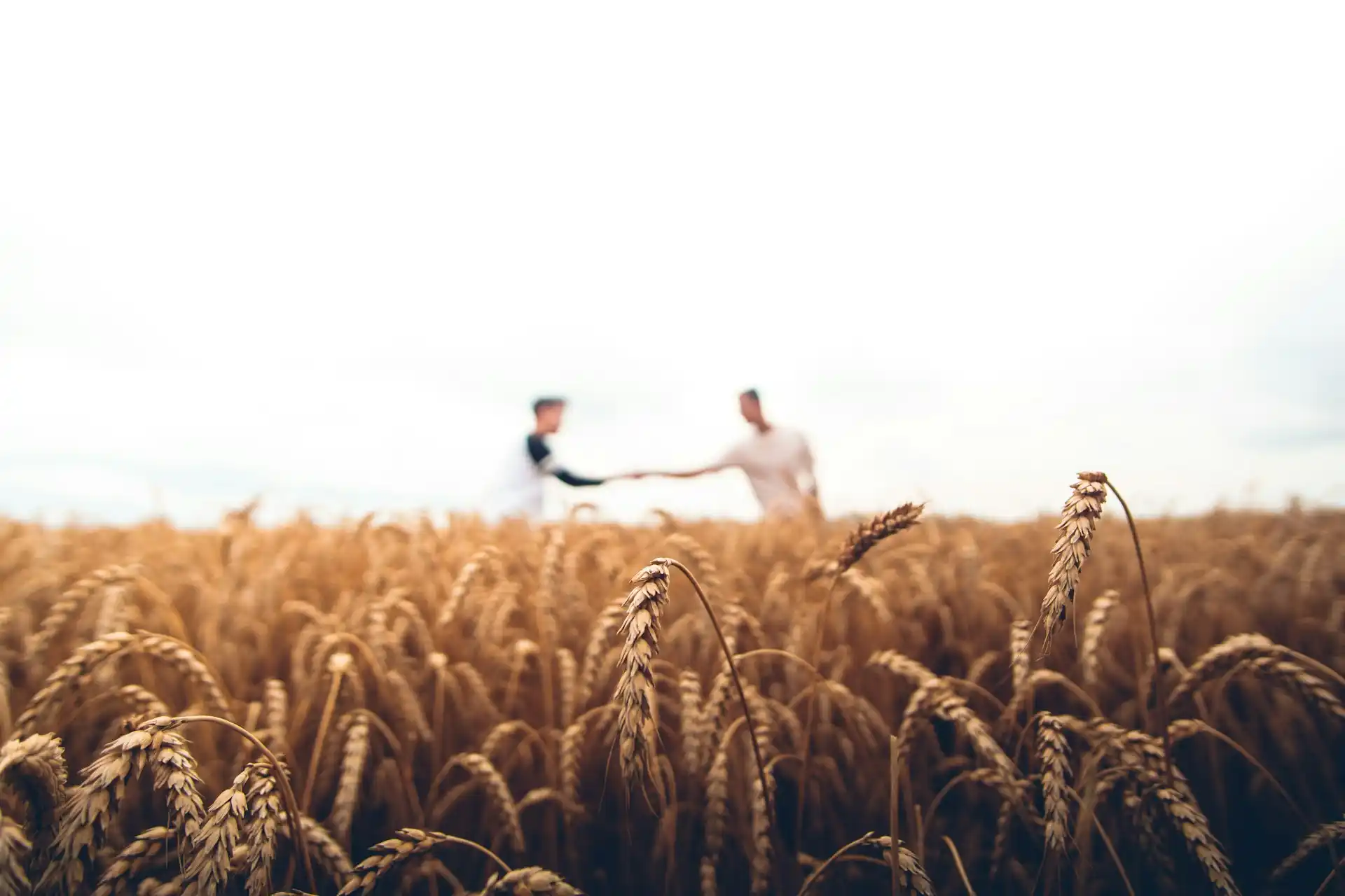 Acuerdo entre productores en el campo